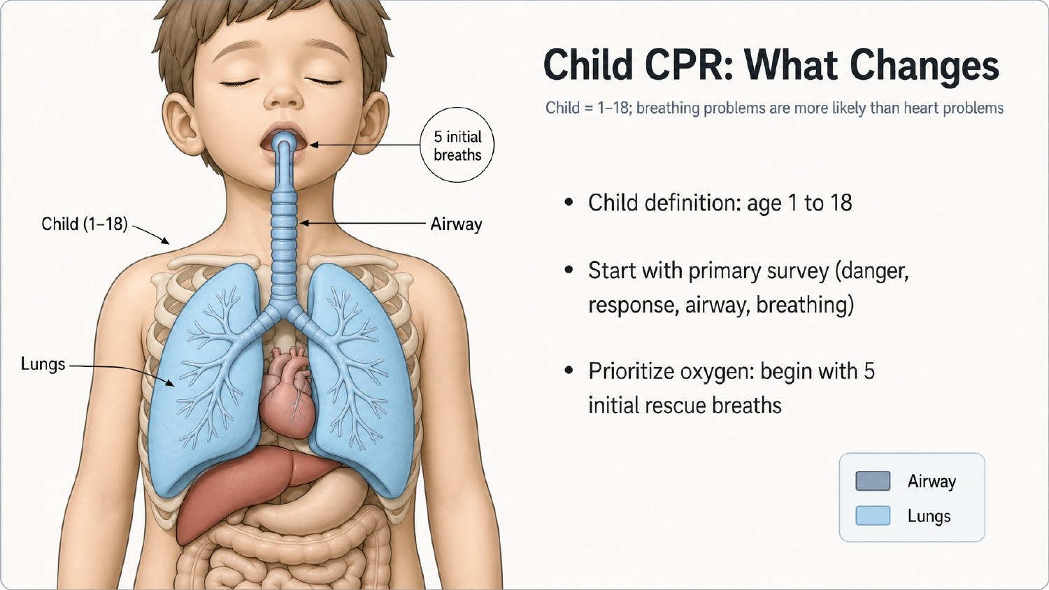 CPR course illustration